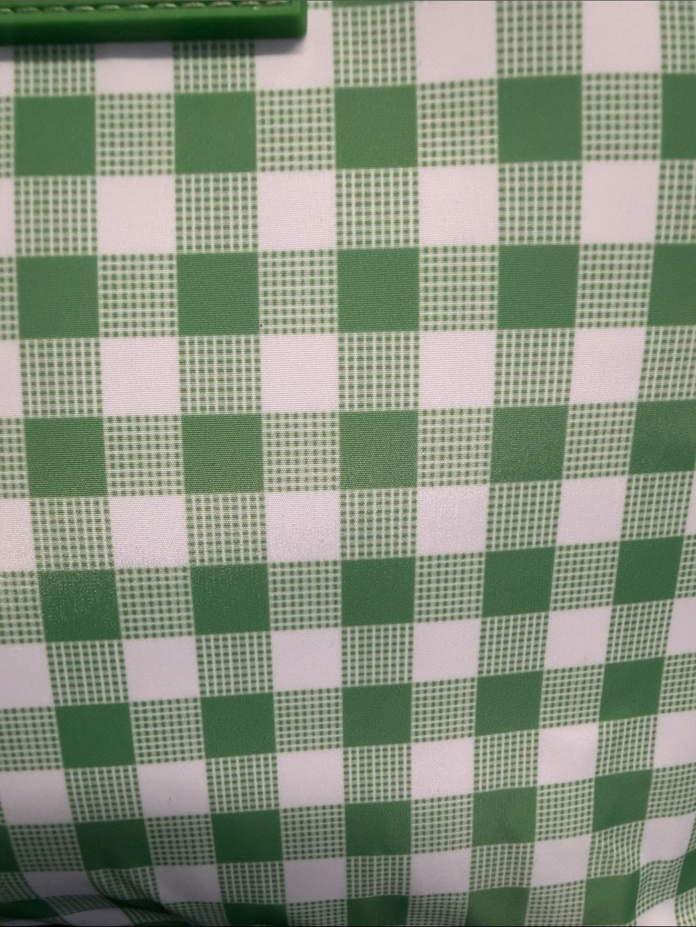 Betsey Johnson | Kelley Green Gingham Insulated Lunch Tote - Picture 6 of 8